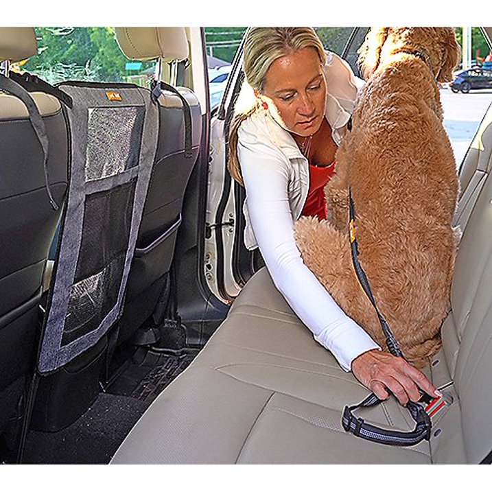 Pet Field 2-Piece Car Seatbelt Kit with Pet Barrier – Adjustable Pet Safety Leash & Back Seat Divider