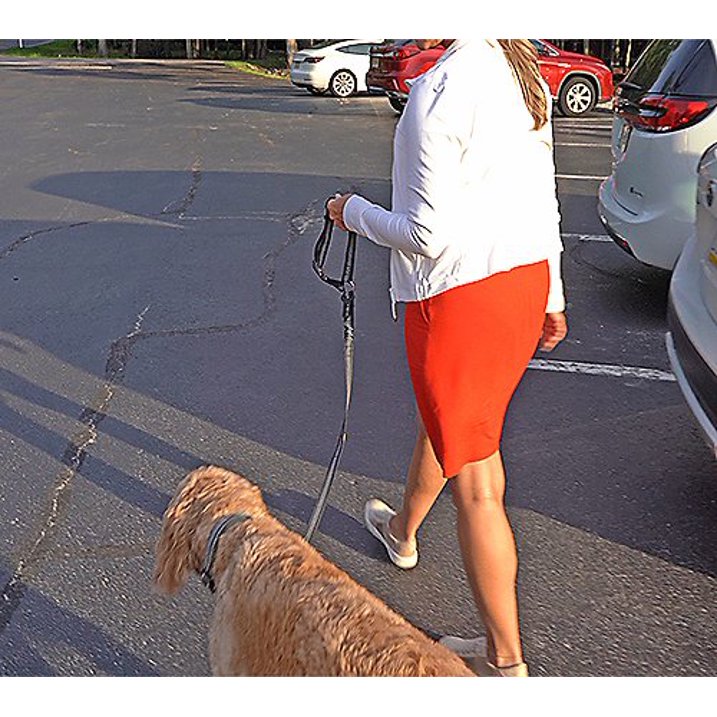 Pet Field 2-Piece Car Seatbelt Kit with Pet Barrier – Adjustable Pet Safety Leash & Back Seat Divider