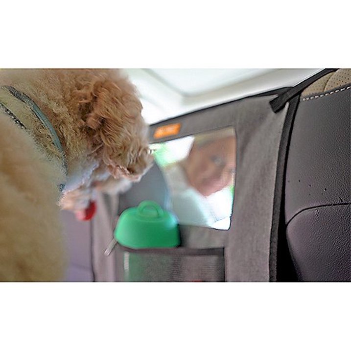 Pet Field 2-Piece Car Seatbelt Kit with Pet Barrier – Adjustable Pet Safety Leash & Back Seat Divider