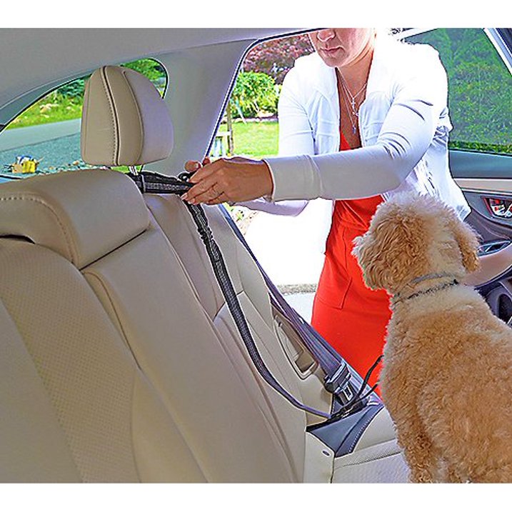 Pet Field 2-Piece Car Seatbelt Kit with Pet Barrier – Adjustable Pet Safety Leash & Back Seat Divider