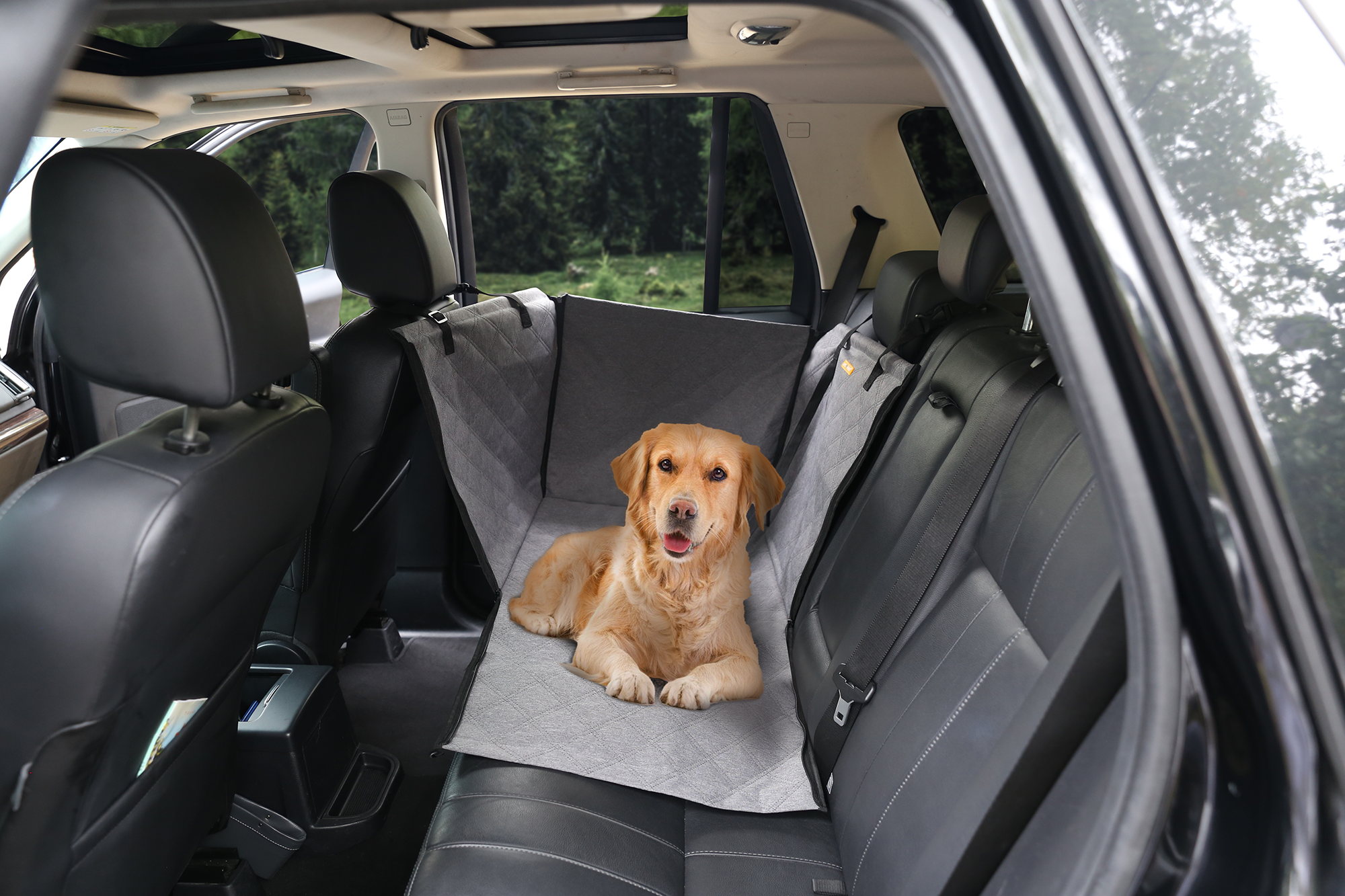 Pet Car Seat Protector & Carrier